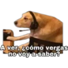 Memes 25 26