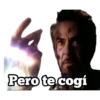 Pero te cogí