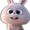 Snowball-Faces🐰 6