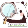 pandita tierno 🐼 5