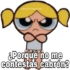 eSoyChooqomilq
&Porqué no me
contestas cabrón?