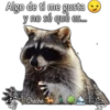 Algo de ti me gusta
y no sé qué es...
Cheche