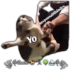 Yo
S of Chache
Responsabilidades
may pe