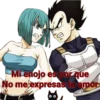 DRAGON BALL Y BOB BONNY 14