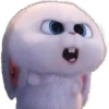 Snowball-Faces🐰 9