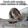 Cuando estás conmigo y
cantas canciones de dolid@s...
Yo estoy pintad@ o qué?
Cheche
Avats