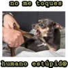 no me toques
humano estúpido