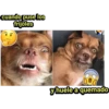 cuando puse los
frijoles
y huele a quemado
