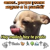 amor..porque pones
seguro a la puerta?
Huy mailob hoy te preño
#ipate
Cheche