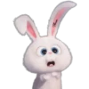 Snowball-Faces🐰 10