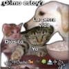 ¿Cómo estoy?
Diosito
La perra
vida
Yo
Cheche f
plin