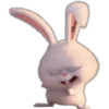Snowball-Faces🐰 11