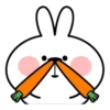 Spoiled Rabbit Face1 10