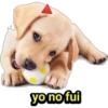 yo no fui
