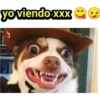 yo viendo xxx →→