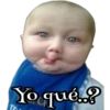 Ternuritas bbs 12