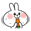 Spoiled Rabbit Face1 13