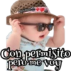 Ternuritas bbs 17