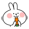Spoiled Rabbit Face1 14