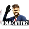 NEYMAR JR 17