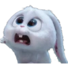 Snowball-Faces🐰 14