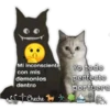 Mi inconsciente
con mis
demonios
dentro
Cheche
Yo todo
perfecto
por fuera