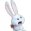Snowball-Faces🐰 15
