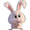 Snowball-Faces🐰 16