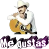 EXITOS DE FAMOSOS 13