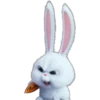 Snowball-Faces🐰 17