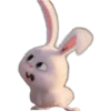 Snowball-Faces🐰 18