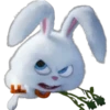 Snowball-Faces🐰 20