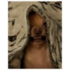jujuj test 5
