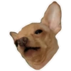 jujuj test 6