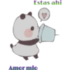 pandita tierno 🐼 10