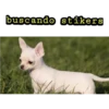 buscando stikers