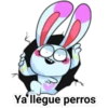 Bunny And Horse 20