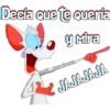 PINKY & CEREBRO 12