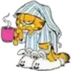 Garfield 13