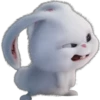 Snowball-Faces🐰 22