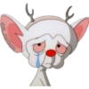 PINKY & CEREBRO 15