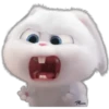 Snowball-Faces🐰 24