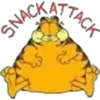 SNAC
ATTACK
