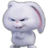 Snowball-Faces🐰 26