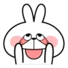 Spoiled Rabbit Face1 22