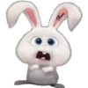 Snowball-Faces🐰 27