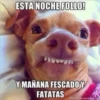 ESTA NOCHE FOLLO!
Y MAÑANA FESCADO Y
FATATAS memegenerator.net
