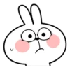Spoiled Rabbit Face1 26