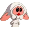 PINKY & CEREBRO 16