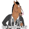 Qué hermoso soy
